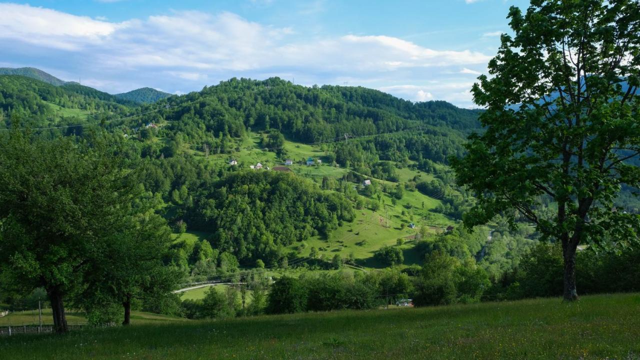 Fern Farm Eco Resort Mojkovac Esterno foto