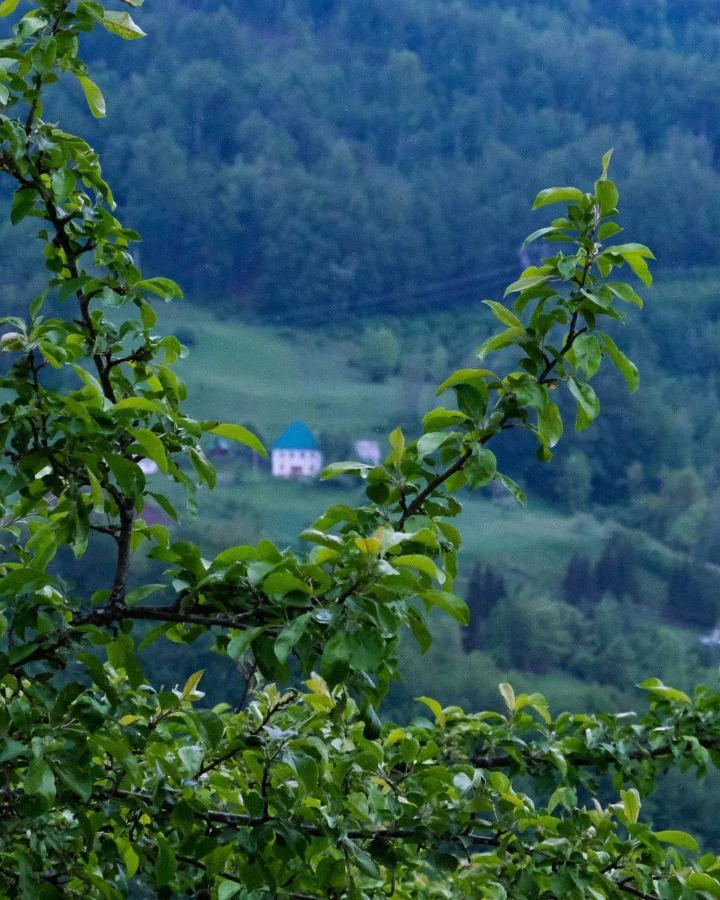 Fern Farm Eco Resort Mojkovac Esterno foto