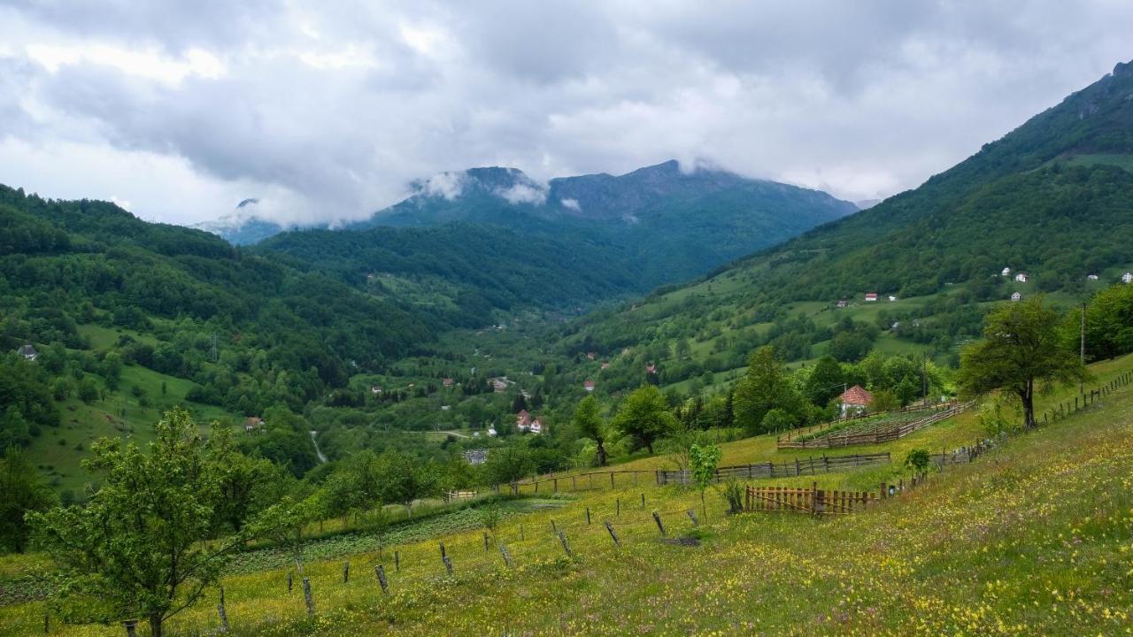 Fern Farm Eco Resort Mojkovac Esterno foto