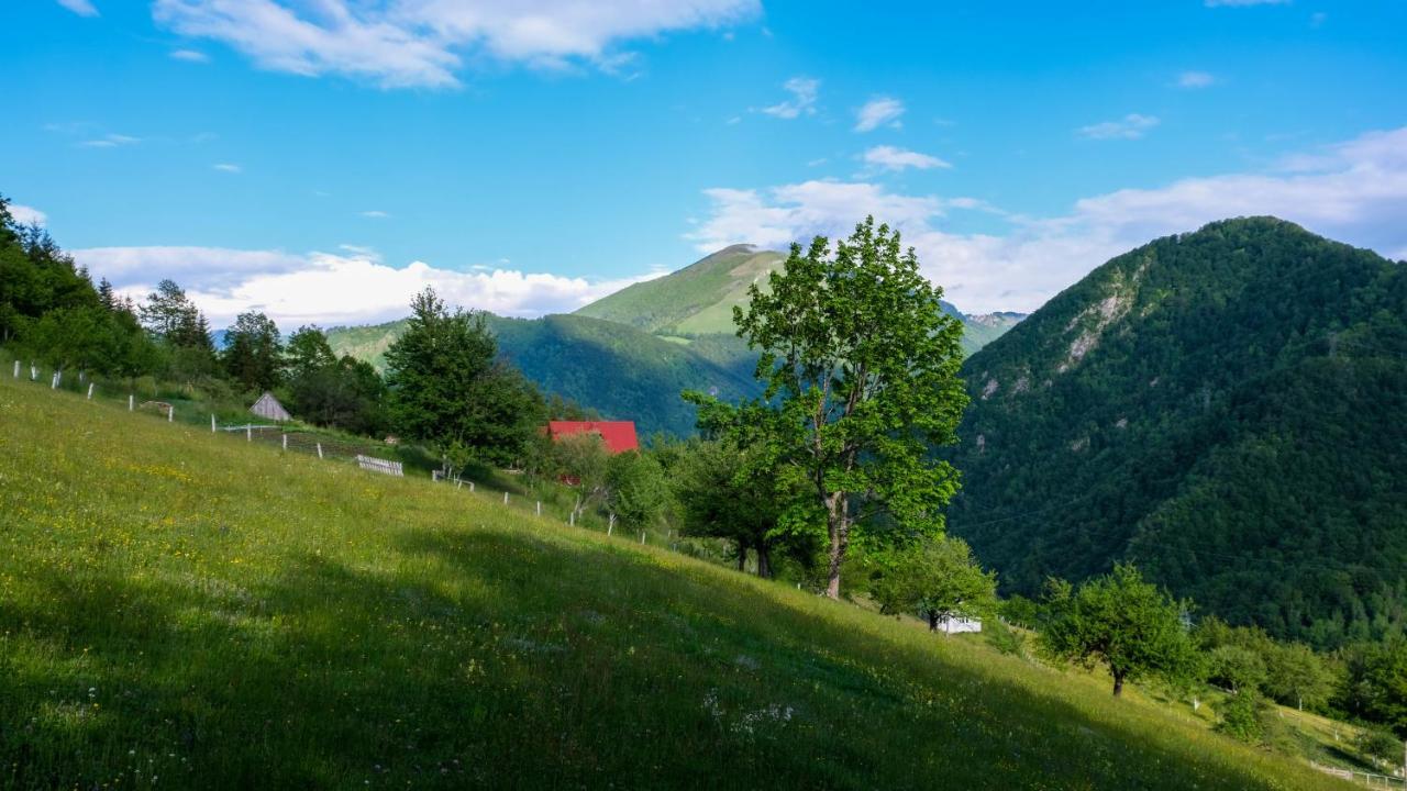 Fern Farm Eco Resort Mojkovac Esterno foto