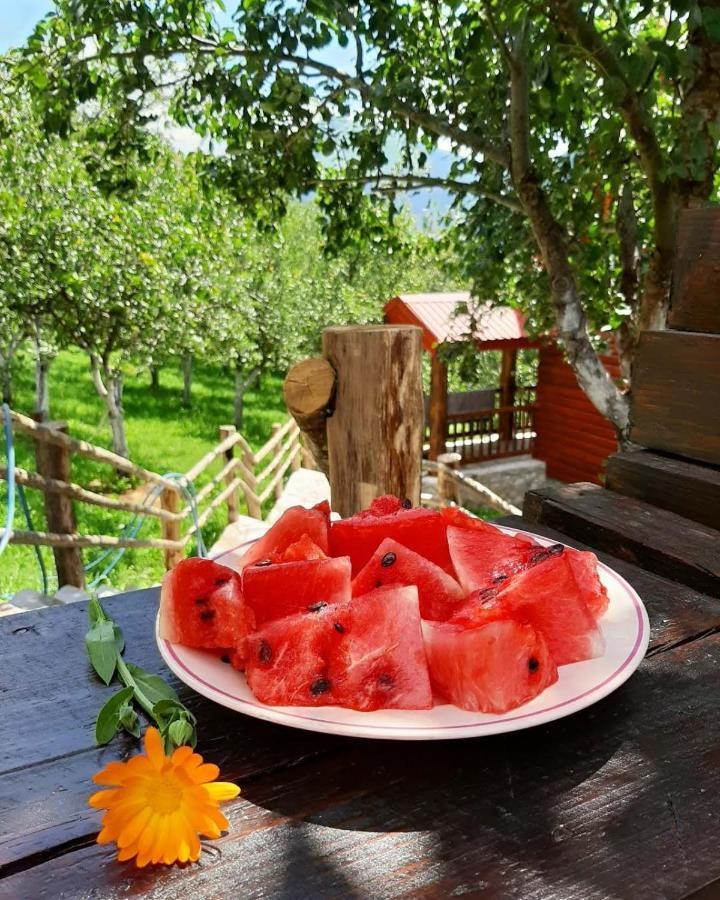 Fern Farm Eco Resort Mojkovac Esterno foto