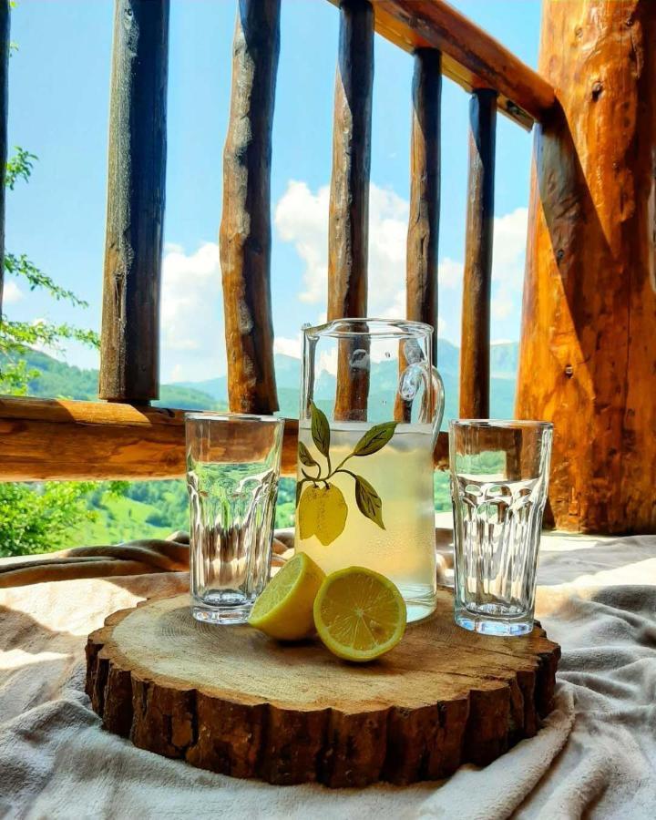 Fern Farm Eco Resort Mojkovac Esterno foto