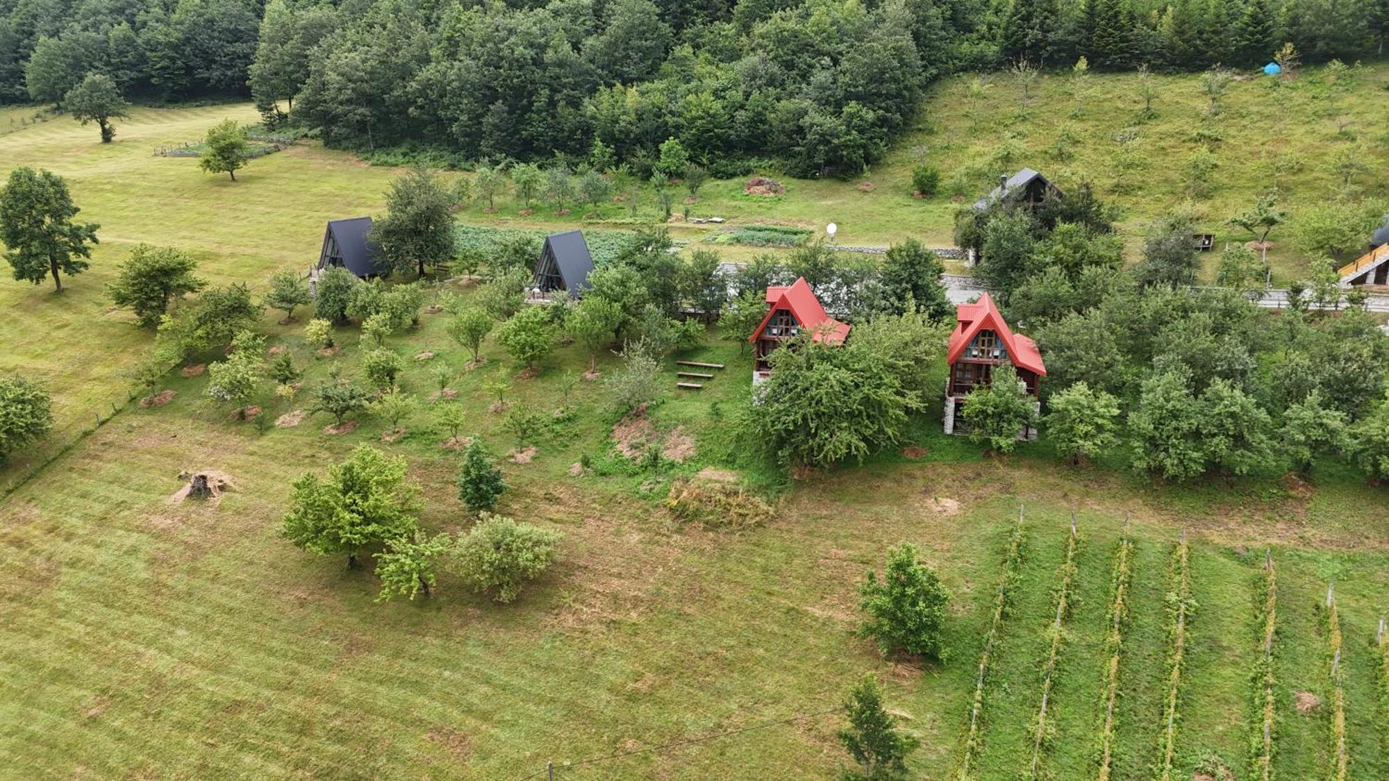 Fern Farm Eco Resort Mojkovac Esterno foto