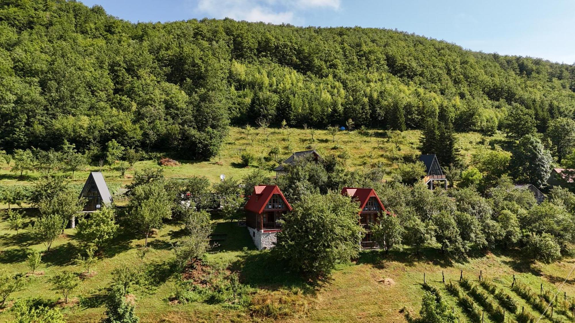 Fern Farm Eco Resort Mojkovac Esterno foto
